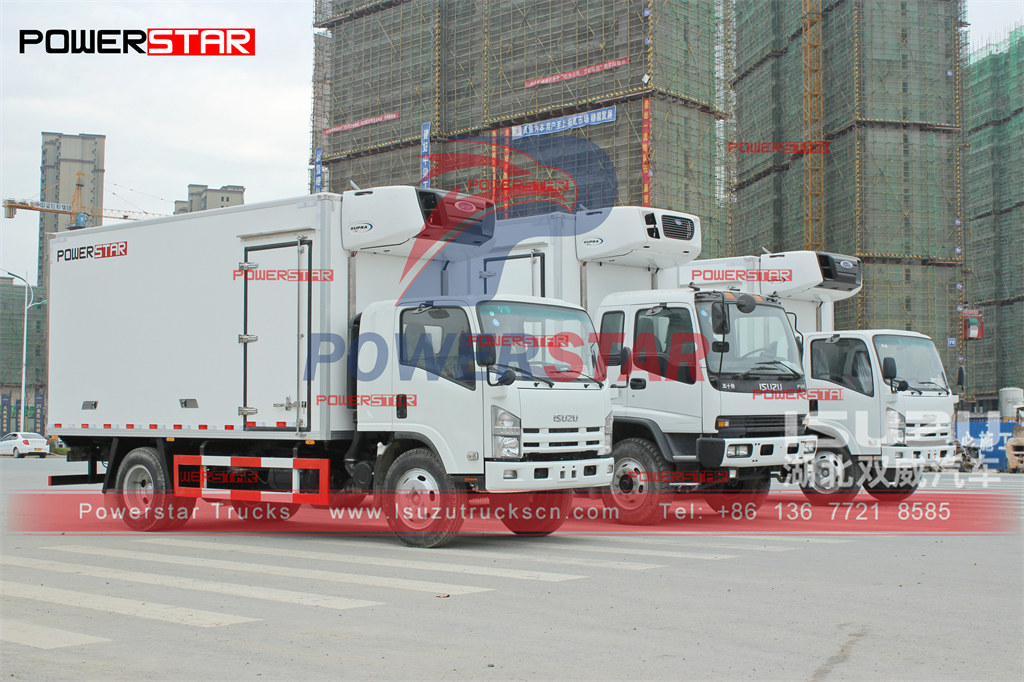 Unidad CARRIER montada en camión congelador ISUZU ELF Exportación manual a Filipinas