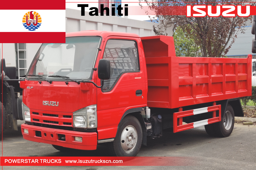 Tahití - Camión volquete volquete ISUZU mini elf de 1 unidad
    