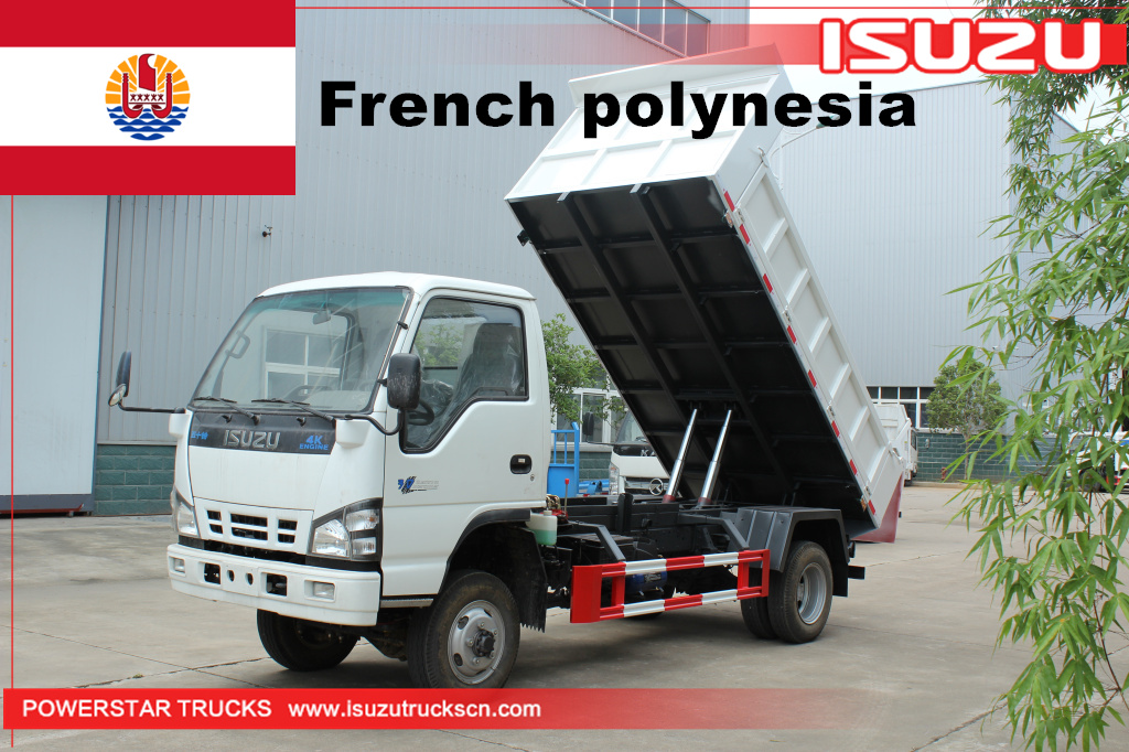 Polinesia Francesa - 1 unidad de camión volquete volquete ISUZU NKR 4*4
    